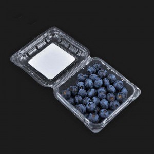 125G Hurtowe przezroczyste klapki Blueberry Clamshell Opakowanie owocowe pojemnikna owoc