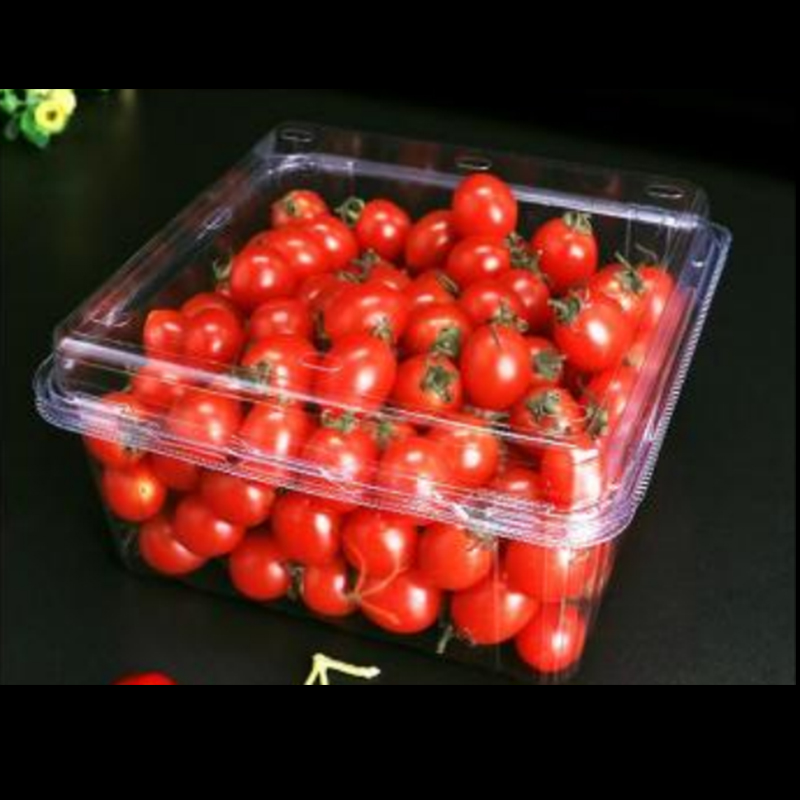 Pudełko owocowe z pokrywką 175*175*90 mm HGF-1000G