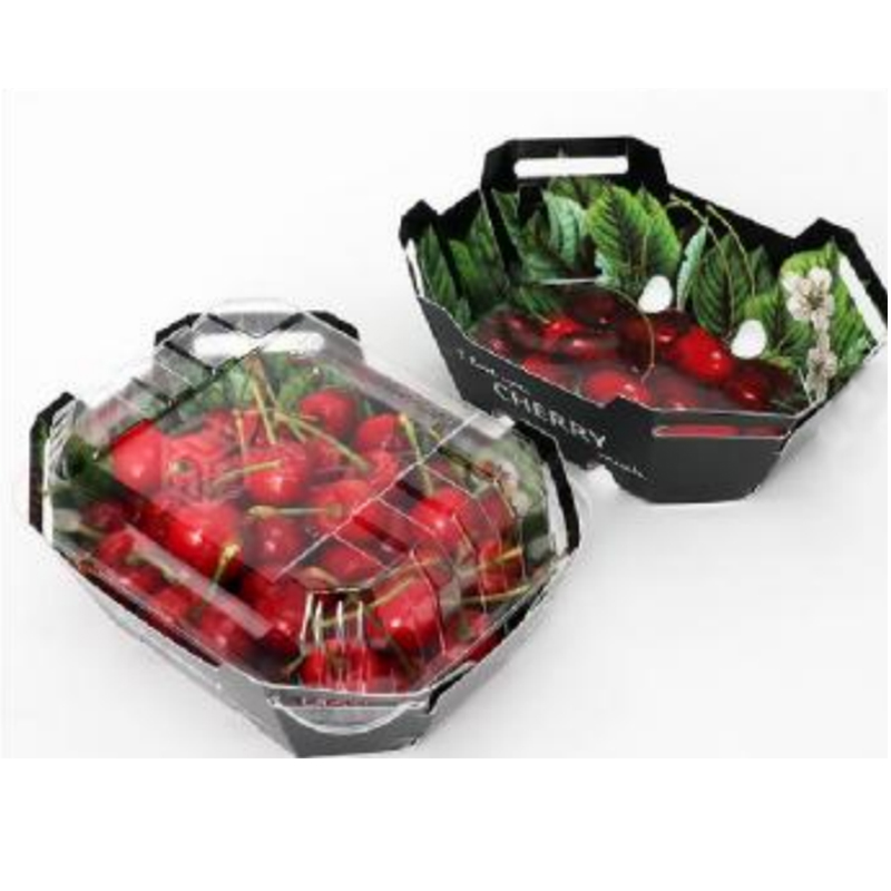 Pudełko owocowe HGF-T250 250 g